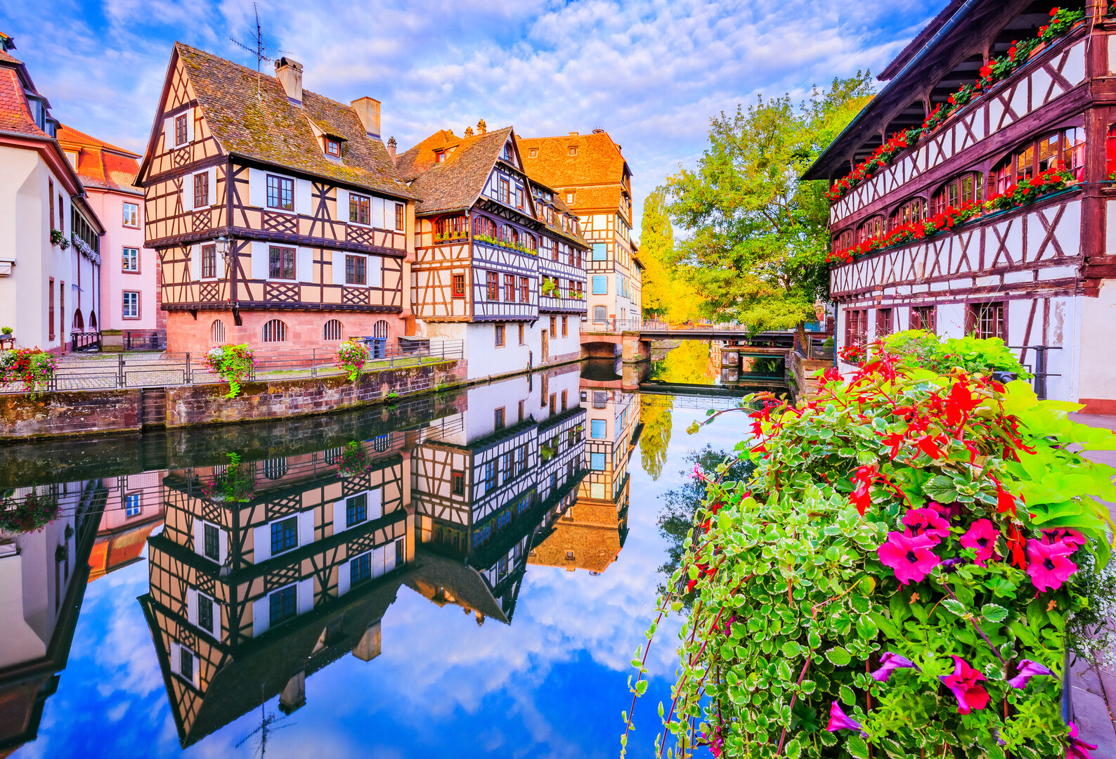 Strasbourg Cathedral